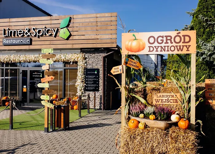 Jj Sport ConceptAlbergo